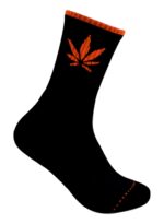 Ornare auctor - Image 6