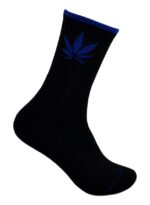 Ornare auctor - Image 5